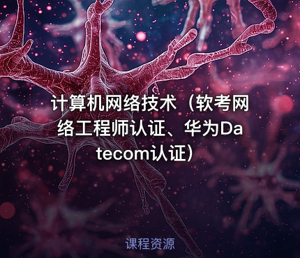 计算机网络技术（软考网络工程师认证、华为Datecom认证）