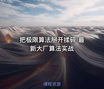 把极限算法掰开揉碎 最新大厂算法实战
