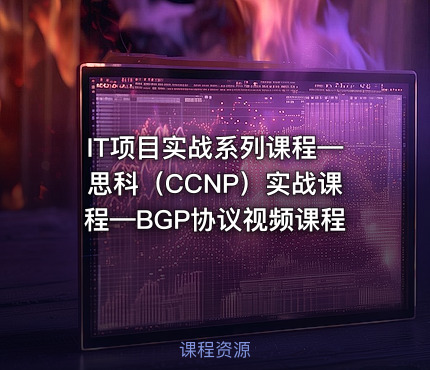 IT项目实战系列课程—思科（CCNP）实战课程—BGP协议视频课程