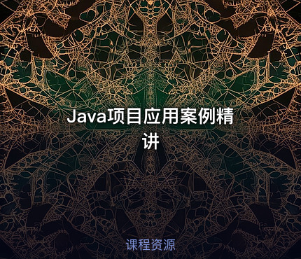 Java项目应用案例精讲