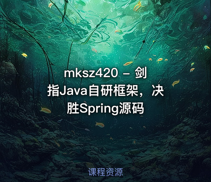 mksz420 - 剑指Java自研框架，决胜Spring源码