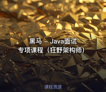 黑马 - Java面试专项课程（狂野架构师）
