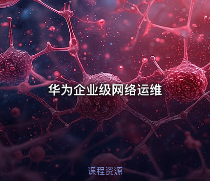 华为企业级网络运维