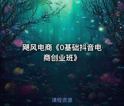 飓风电商《0基础抖音电商创业班》