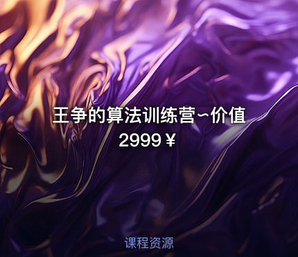 王争的算法训练营∽价值2999￥