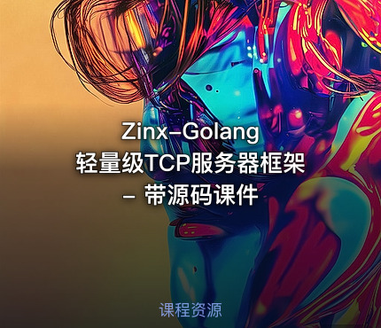 Zinx-Golang轻量级TCP服务器框架 - 带源码课件