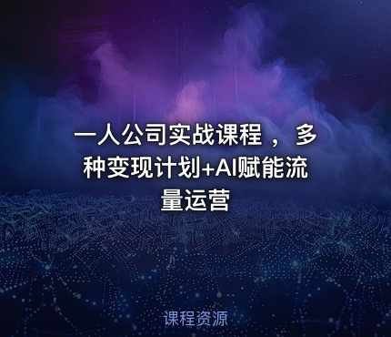一人公司实战课程 ，多种变现计划+AI赋能流量运营