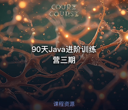 90天Java进阶训练营三期