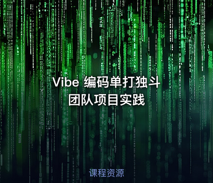 Vibe 编码单打独斗团队项目实践