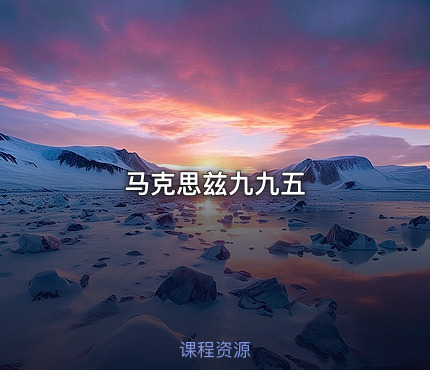 马克思兹九九五