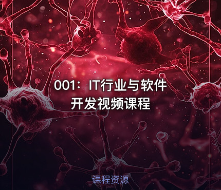 001：IT行业与软件开发视频课程