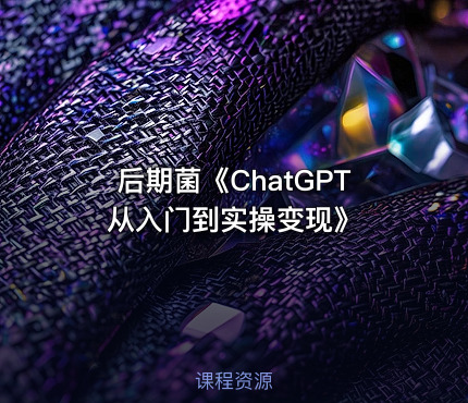 后期菌《ChatGPT从入门到实操变现》
