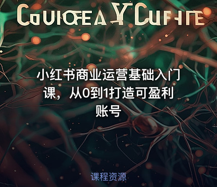 小红书商业运营基础入门课，从0到1打造可盈利账号