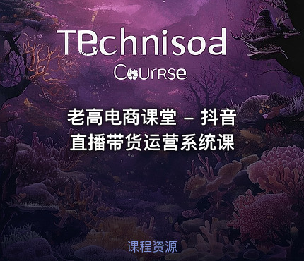 老高电商课堂 - 抖音直播带货运营系统课