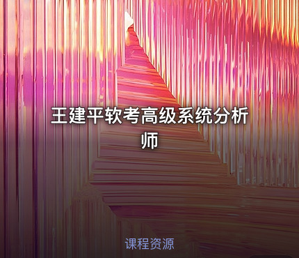 王建平软考高级系统分析师