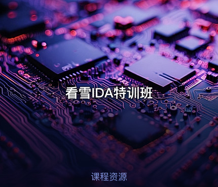 看雪IDA特训班