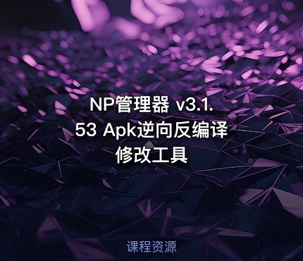 NP管理器 v3.1.53 Apk逆向反编译修改工具