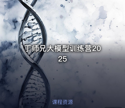 丁师兄大模型训练营2025