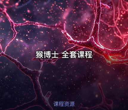 猴博士 全套课程