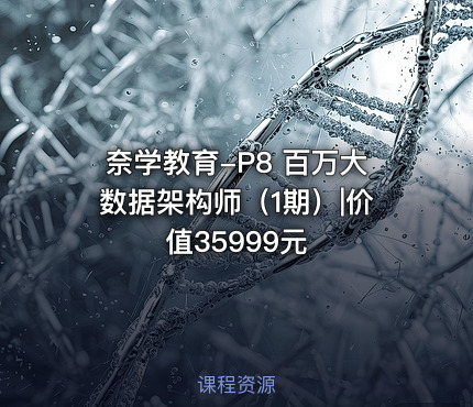 奈学教育-P8 百万大数据架构师（1期）|价值35999元