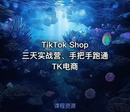 TikTok Shop三天实战营、手把手跑通TK电商
