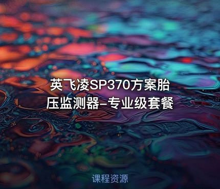 英飞凌SP370方案胎压监测器-专业级套餐