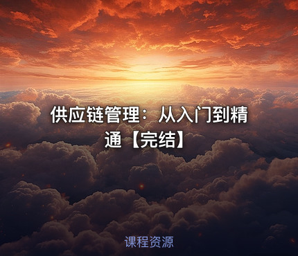 供应链管理：从入门到精通【完结】