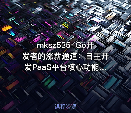 mksz535-Go开发者的涨薪通道：自主开发PaaS平台核心功能[5章]