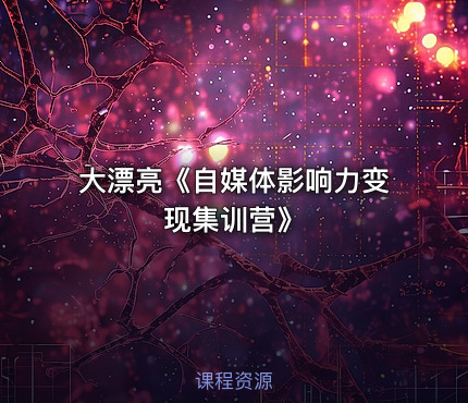 大漂亮《自媒体影响力变现集训营》