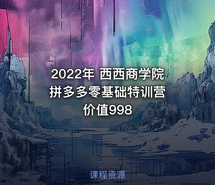2022年 西西商学院 拼多多零基础特训营 价值998