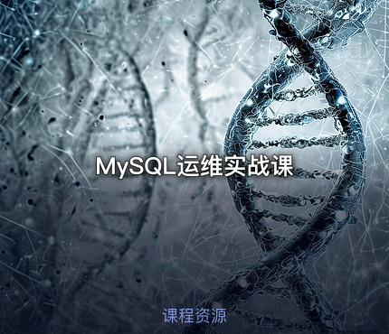 MySQL运维实战课