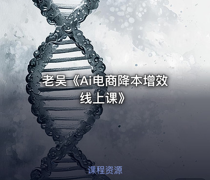 老吴《Ai电商降本增效线上课》