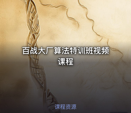 百战大厂算法特训班视频课程