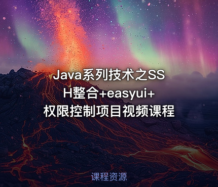 Java系列技术之SSH整合+easyui+权限控制项目视频课程