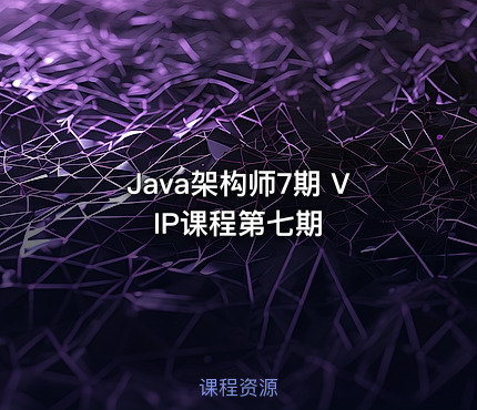 Java架构师7期 VIP课程第七期