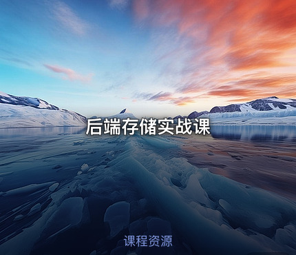 后端存储实战课