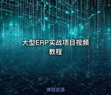 大型ERP实战项目视频教程