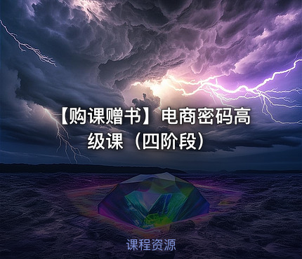 【购课赠书】电商密码高级课（四阶段）