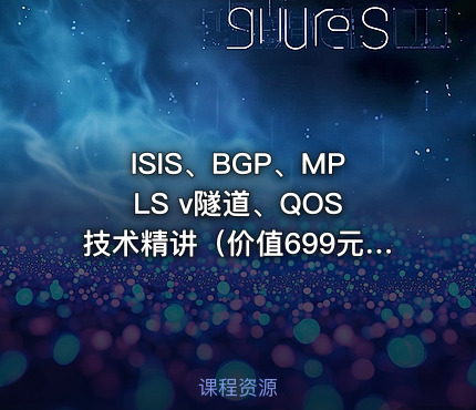ISIS、BGP、MPLS v隧道、QOS 技术精讲（）