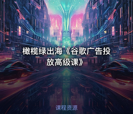 橄榄绿出海《谷歌广告投放高级课》
