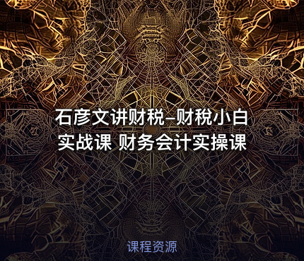 石彦文讲财税-财稅小白实战课 财务会计实操课