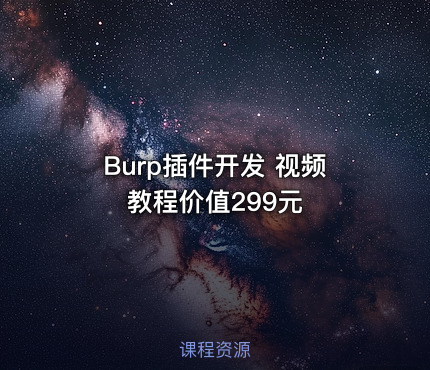 Burp插件开发 视频教程